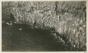 Image of Kittiwake Gull, Breeding place